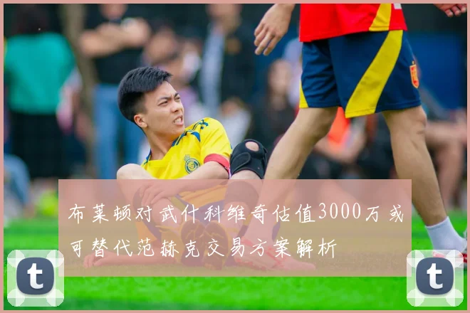 布莱顿对武什科维奇估值3000万或可替代范赫克交易方案解析